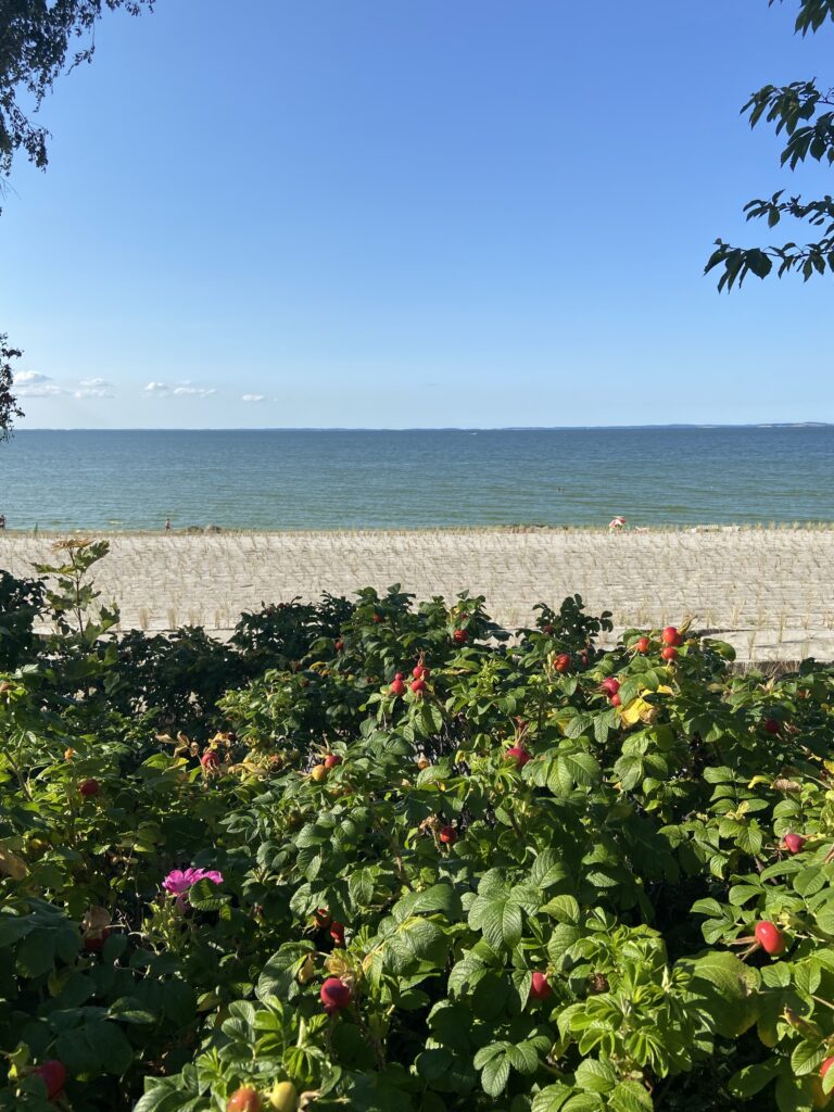 Mittwoch, 04.08.: Lubmin