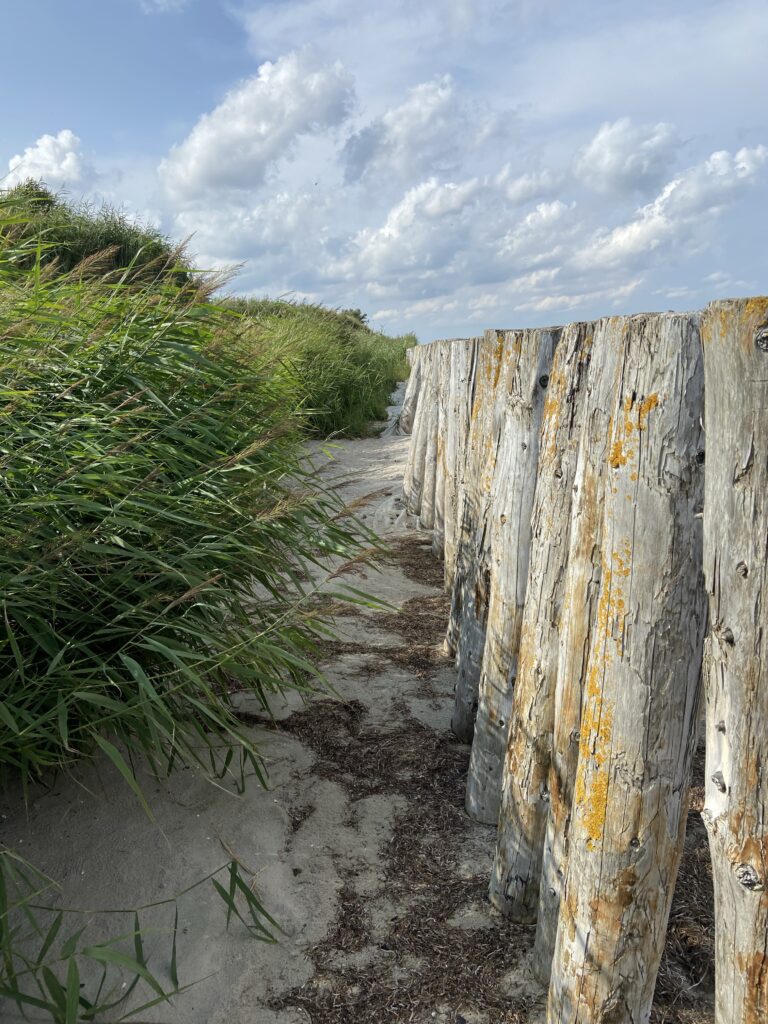 Montag, 09.08. und Dienstag, 10.08. (Nichtstun Teil 3) Montag, 09.08. und Dienstag, 10.08. (Nichtstun Teil 3)